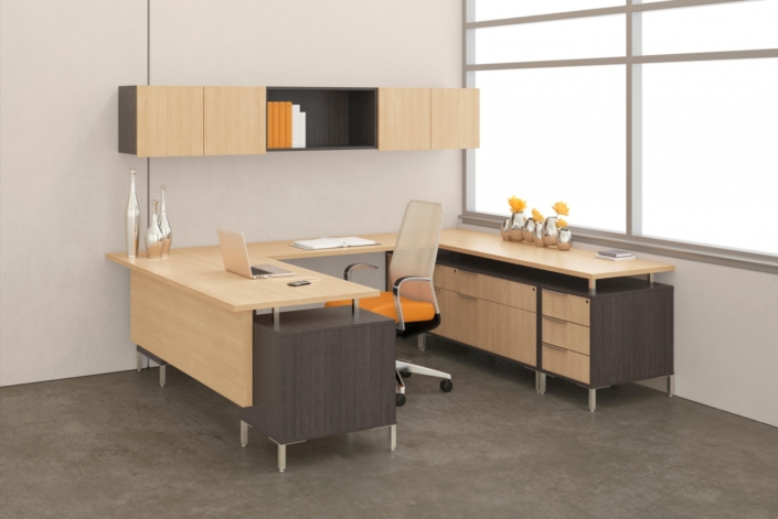 Modern Private Office Storage Furniture