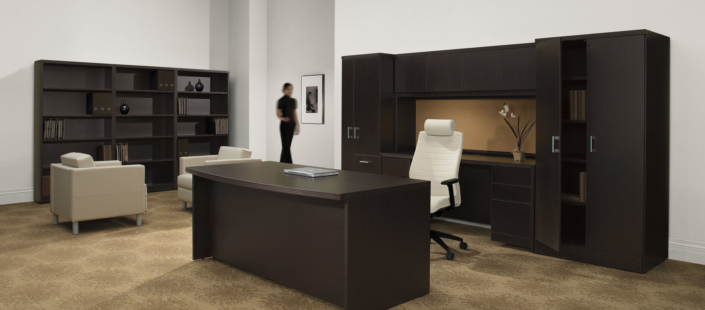 Executive Private Office Storage