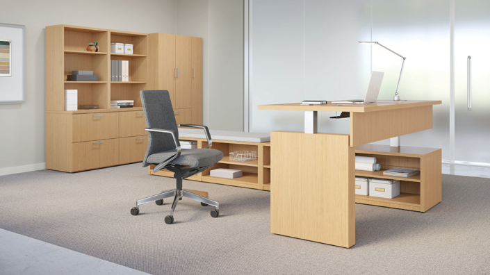 Modern Sit Stand Private Office