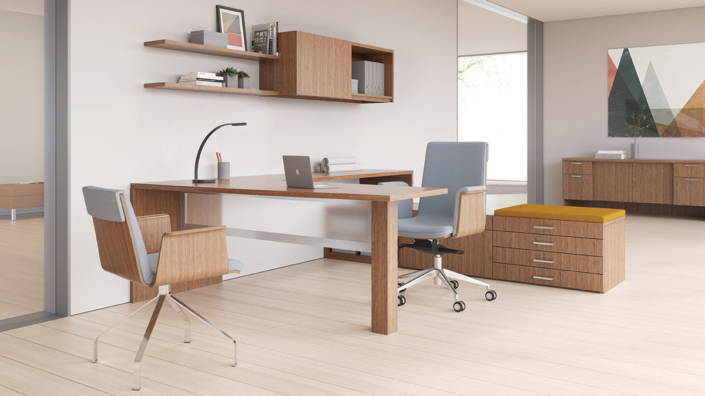 Modern Executive Private Office