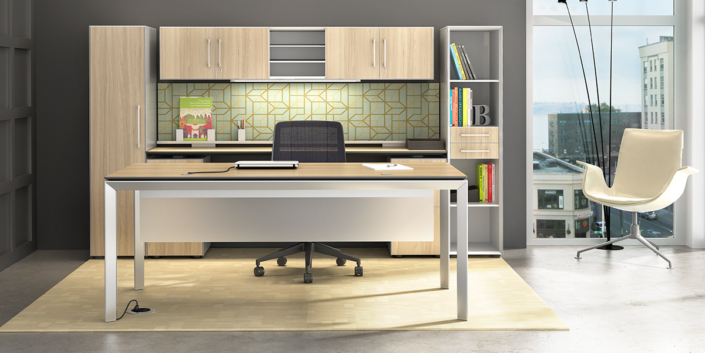 Modern Executive Desks Storage Cabinets