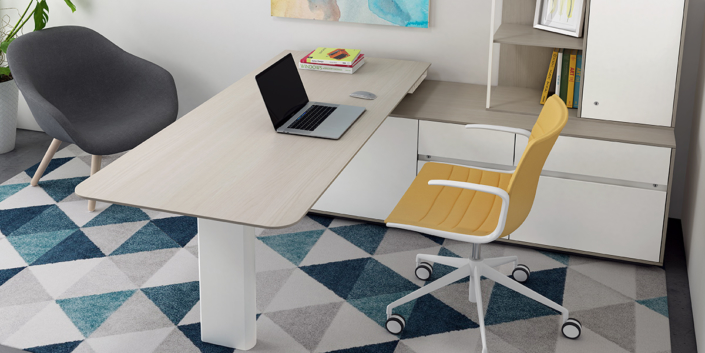Private Computer Desk