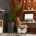 A modern office with plants and a computer desk. Various shelving, including floating shelves and a cabinet on wheels, is present.
