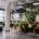 A modern office with tons of potted plants. There are several workstations, a conference room, and couches.